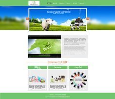 網(wǎng)頁與網(wǎng)站設(shè)計 打造卓越用戶體驗的關(guān)鍵要素