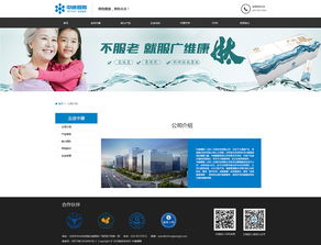 打造卓越數(shù)字形象 公司官網(wǎng)網(wǎng)頁與網(wǎng)站設(shè)計的核心策略