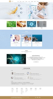 網(wǎng)頁與網(wǎng)站設(shè)計 構(gòu)建數(shù)字世界的藝術(shù)與科學(xué)