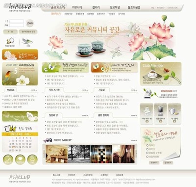 韓國ASA俱樂部網(wǎng)站PSD模版 打造動感活力的專業(yè)網(wǎng)頁與網(wǎng)站設(shè)計(jì)