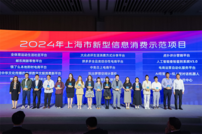 玩出夢想科技榮獲“2024年上海市新型信息消費(fèi)示范項目”，助力上海技術(shù)服務(wù)升級
